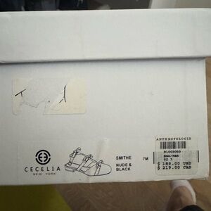 Cecelia New York Smithe Shoes in Nude and Black